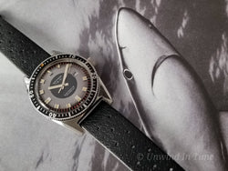 Waltham LIP Electrodyne Diver